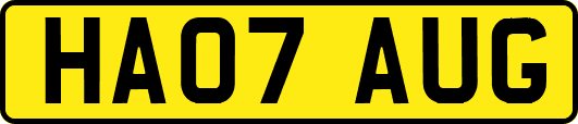 HA07AUG