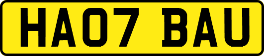HA07BAU
