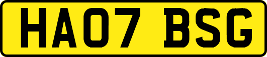 HA07BSG