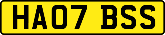 HA07BSS