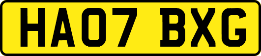 HA07BXG