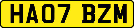 HA07BZM