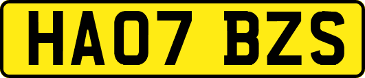 HA07BZS
