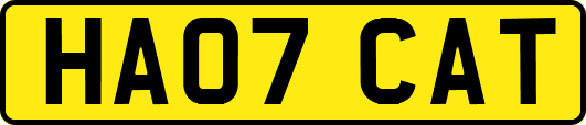HA07CAT