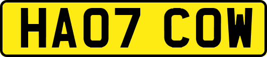 HA07COW
