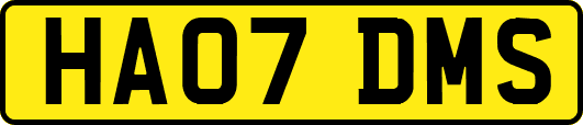 HA07DMS