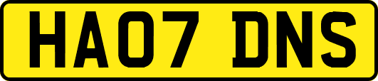 HA07DNS