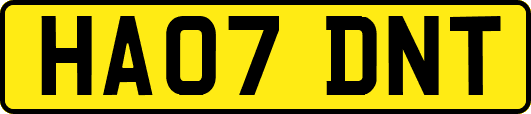 HA07DNT