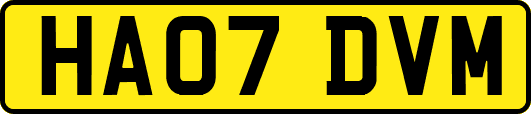 HA07DVM