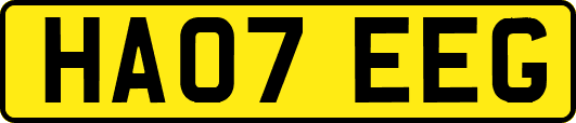 HA07EEG