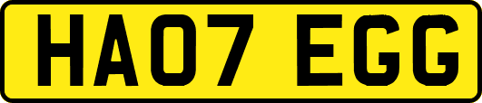 HA07EGG