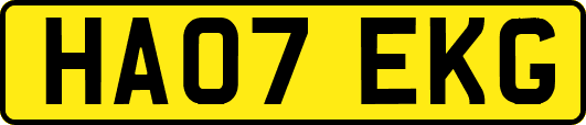 HA07EKG