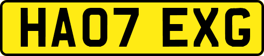 HA07EXG