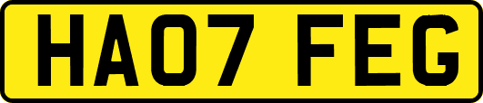 HA07FEG