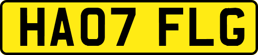 HA07FLG