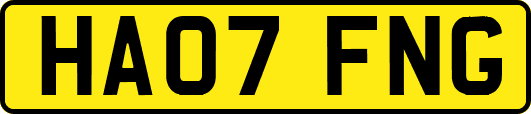 HA07FNG