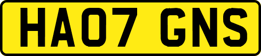 HA07GNS