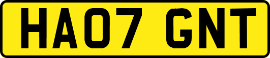 HA07GNT