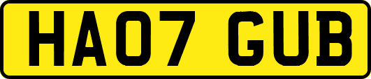 HA07GUB