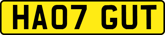 HA07GUT