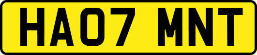 HA07MNT