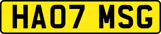 HA07MSG