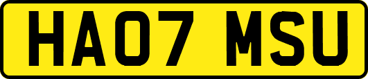 HA07MSU