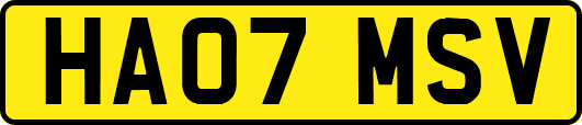HA07MSV