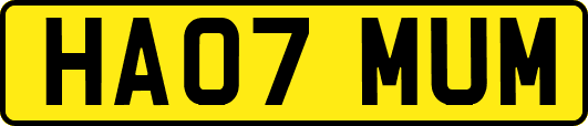HA07MUM