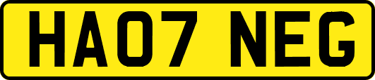 HA07NEG