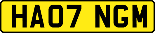 HA07NGM