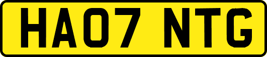 HA07NTG