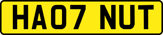 HA07NUT