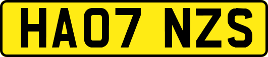 HA07NZS