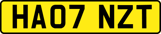 HA07NZT