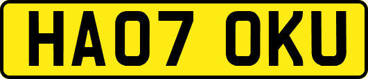 HA07OKU