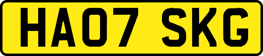 HA07SKG