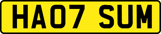 HA07SUM