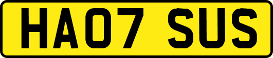 HA07SUS