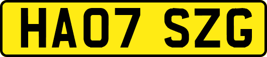 HA07SZG