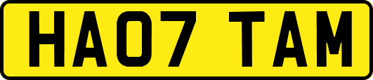 HA07TAM