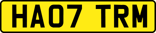 HA07TRM