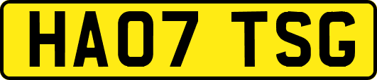 HA07TSG