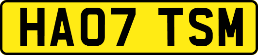 HA07TSM