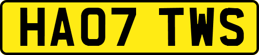 HA07TWS