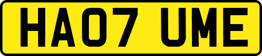 HA07UME