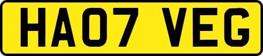 HA07VEG
