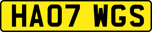 HA07WGS