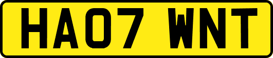 HA07WNT
