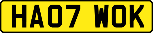 HA07WOK